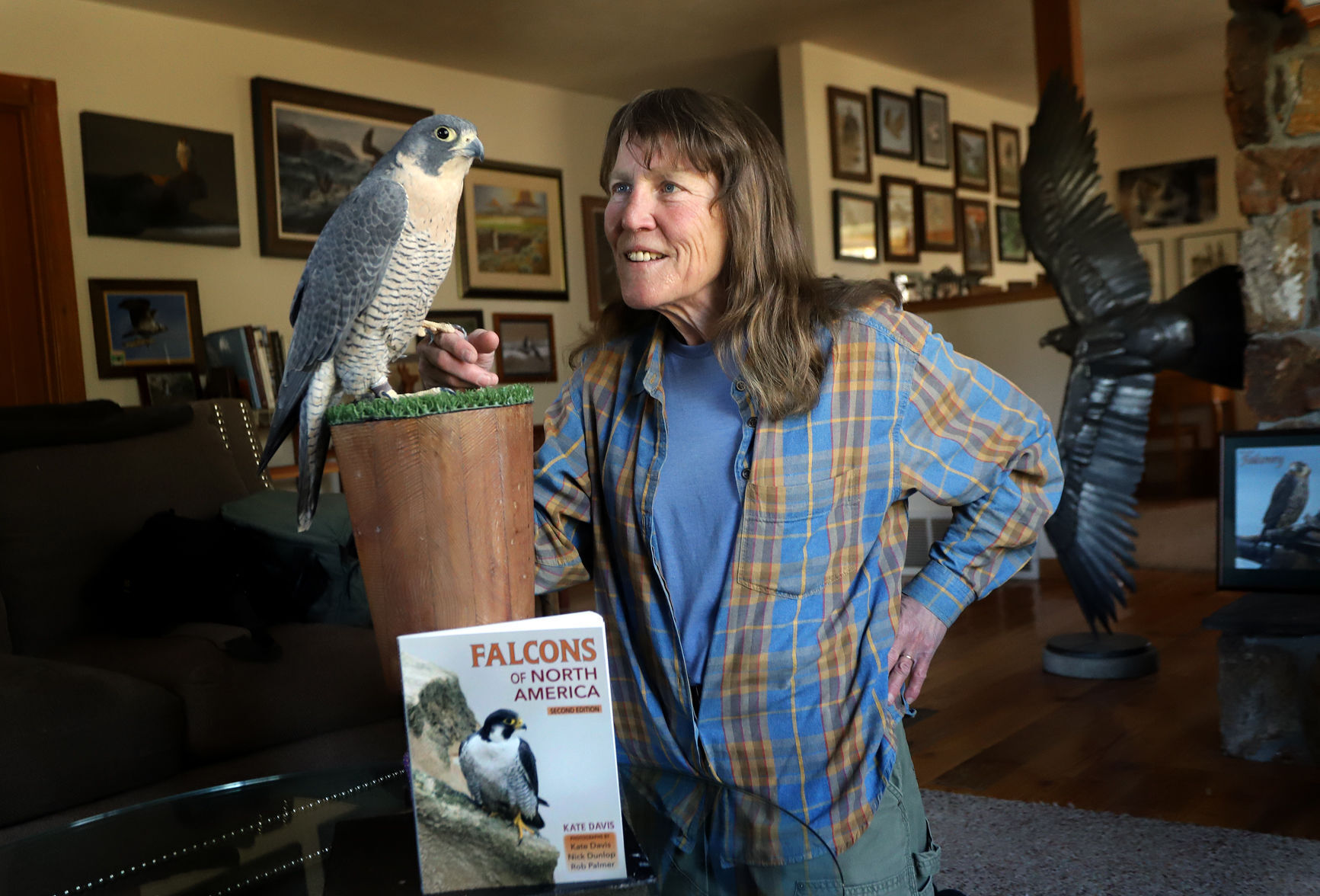 Taking flight: Davis opens doors into lives of falcons in new book
